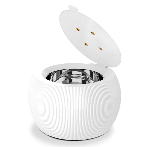 Shinepod | Ultrasonic Denture and Retainer Cleaner