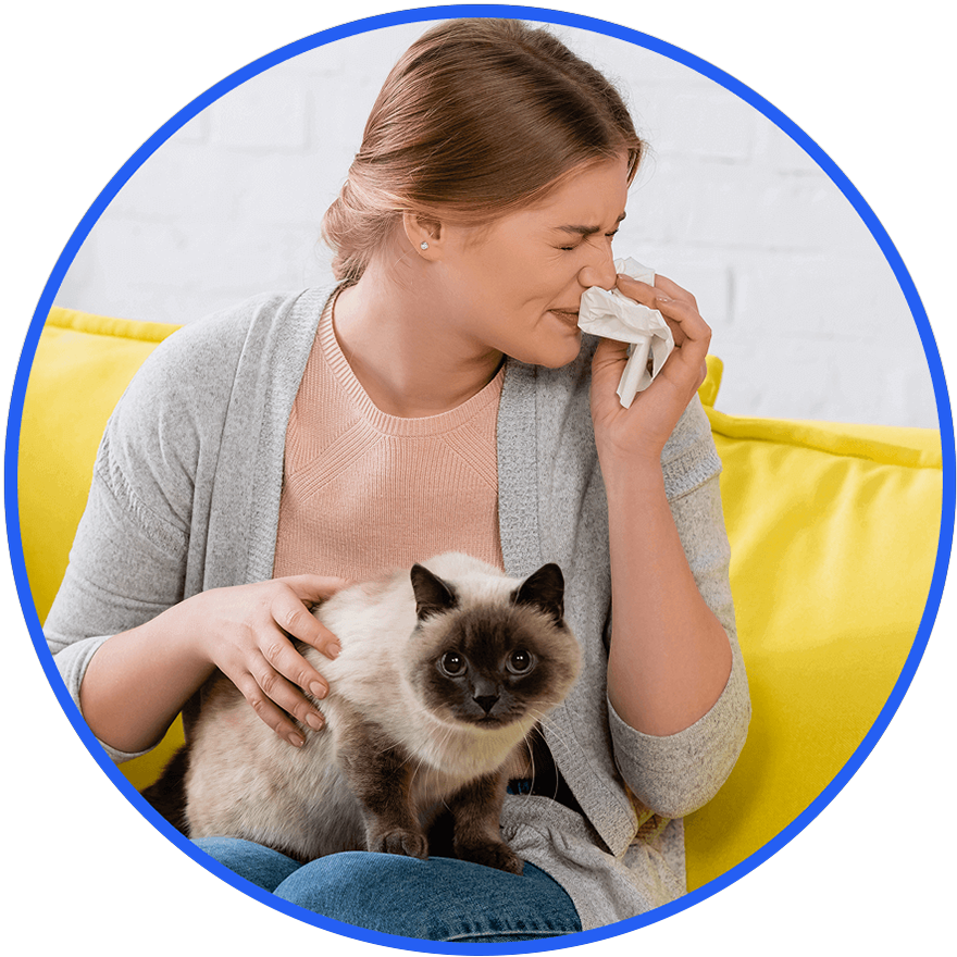 Eliminate Pet Odor