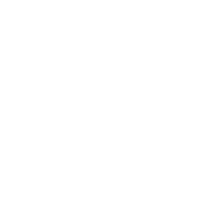 Toothbrush Heads
