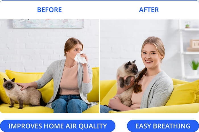 swissker-halouv-allergies-eliminate-before-after