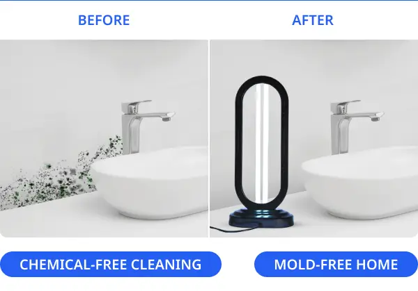 swissker-halouv-mold-you-get-chemical-free-cleaning-desktop